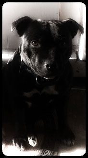 Ithéa sonata de Fambuena Didaho