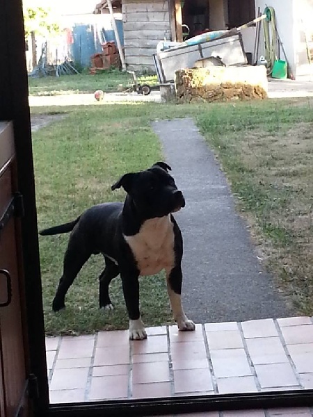 Hugo polo de Fambuena Didaho